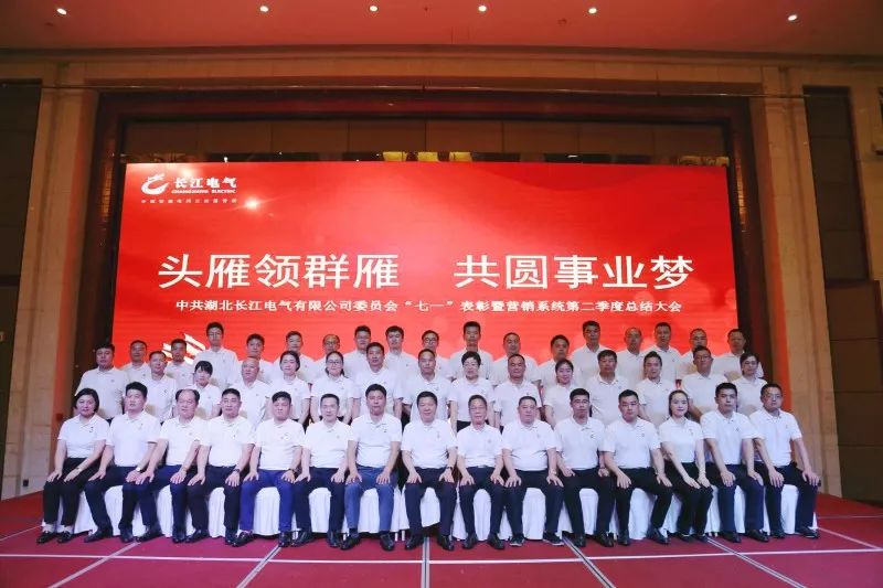 头雁领群雁 共圆事业梦 |中共米兰体育官方网站电气有限公司委员会“七一”表彰大会隆重召开